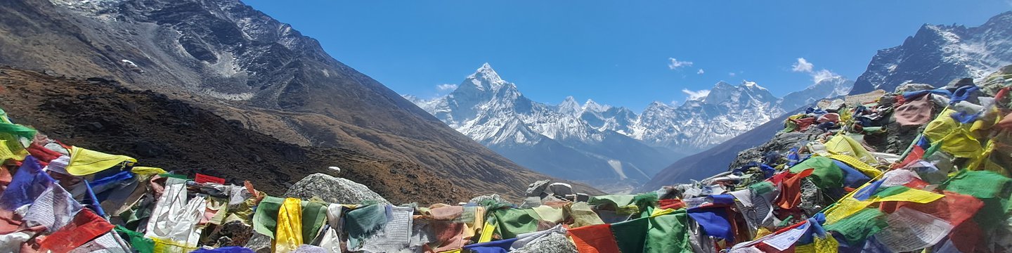 20240407_114419.jpg