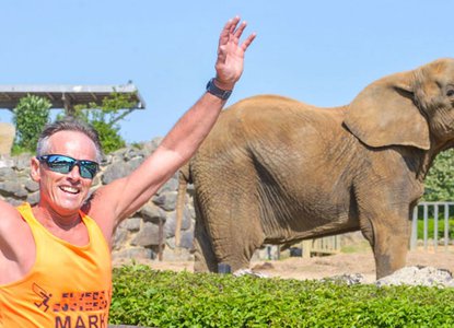 elephant.jpg