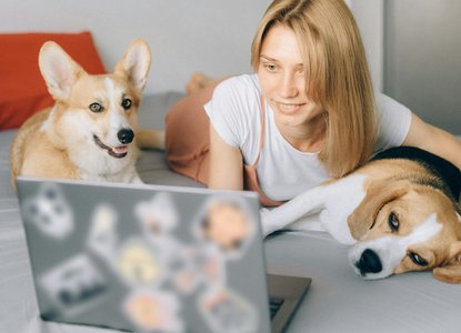 Woman Lying Down on Bed with Dogs while Looking at Laptop