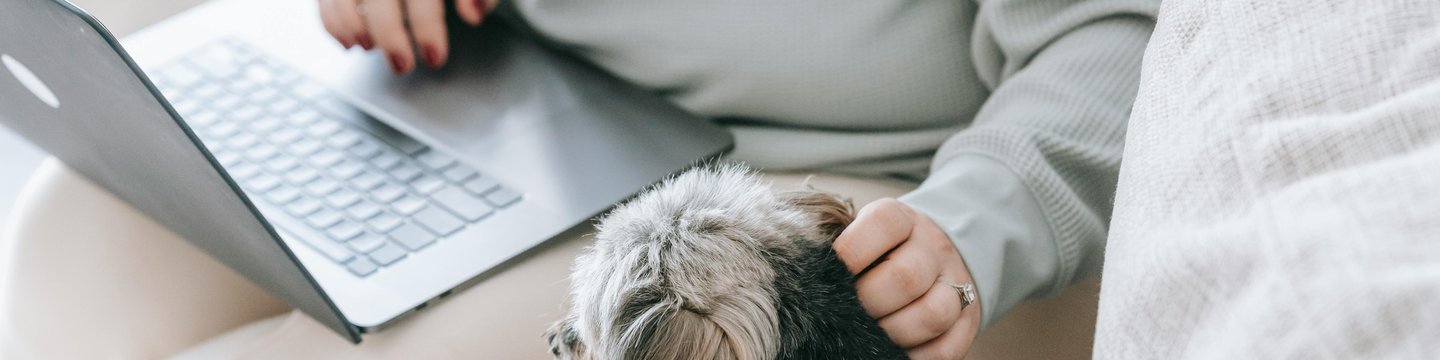woman-laptop-dog-2