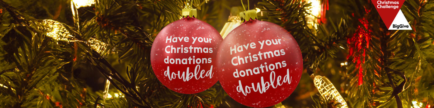 Big_Give_24__CC___Email_Banner.png